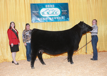 Owned Junior Champion Heifer Owned Junior Champion Heifer