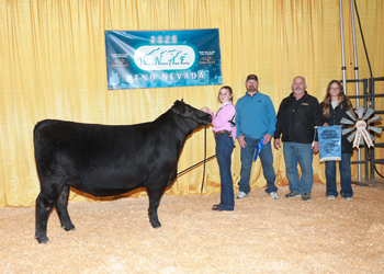 PGS Reserve Heifer Division 3 PGS Reserve Heifer Division 3