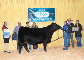 PGS Heifer Division 4 PGS Heifer Division 4