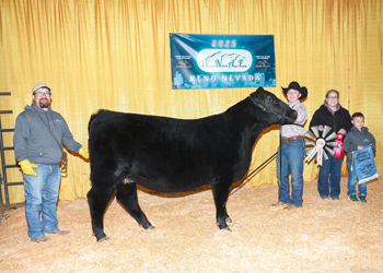 PGS Reserve Heifer Division 4 PGS Reserve Heifer Division 4