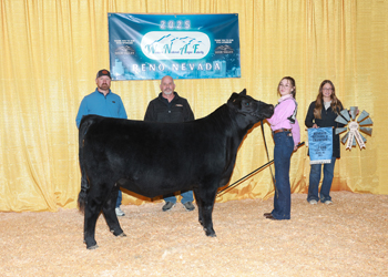 PGS Reserve Heifer Division 2 PGS Reserve Heifer Division 2