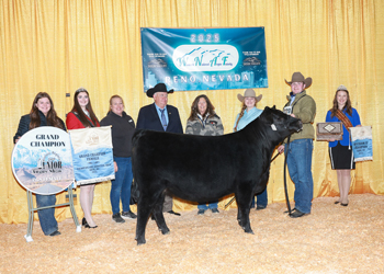 Grand Champion PGS Female Grand Champion PGS Female