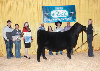 Owned Senior Heifer Calf Champion Owned Senior Heifer Calf Champion