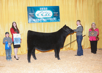 Owned Heifer Calf Champion Division 1 Owned Heifer Calf Champion Division 1