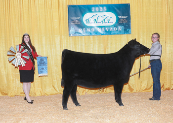 Owned Reserve Heifer Calf Champion Division 2 Owned Reserve Heifer Calf Champion Division 2