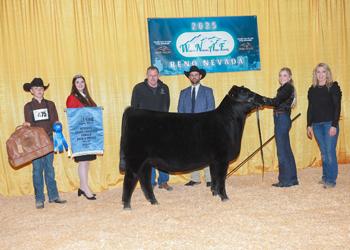 Reserve Grand Champion Bred-and-owned Female Reserve Grand Champion Bred-and-owned Female