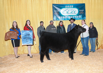 Reserve Grand Champion Steer Reserve Grand Champion Steer