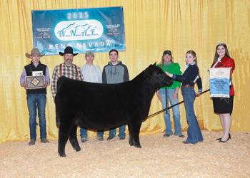 Owned Summer Heifer Calf Champion Owned Summer Heifer Calf Champion