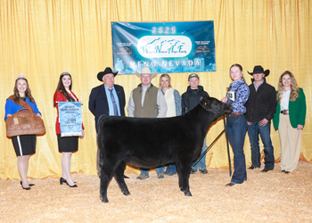 Reserve Grand Champion PGS Female Reserve Grand Champion PGS Female