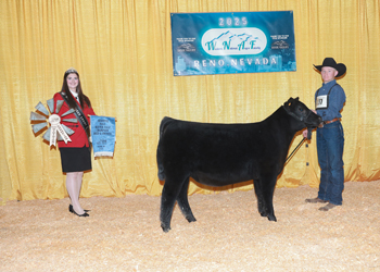 Bred-and-owned Reserve Fall Heifer Calf Champion Bred-and-owned Reserve Fall Heifer Calf Champion