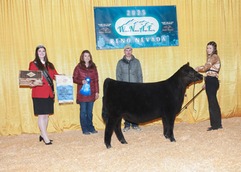 Bred-and-owned Fall Heifer Calf Champion Bred-and-owned Fall Heifer Calf Champion