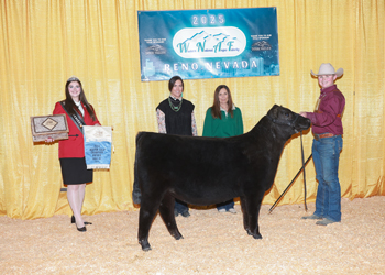 Owned Fall Heifer Calf Champion Owned Fall Heifer Calf Champion