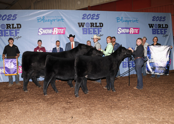 Grand Champion Cow-calf Pair