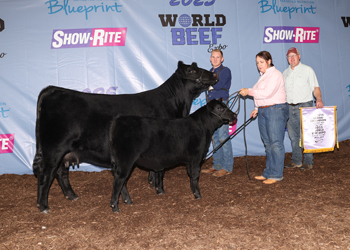 Reserve Grand Champion Cow-calf Pair