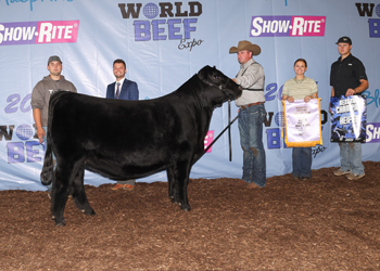 Reserve Grand Champion Female