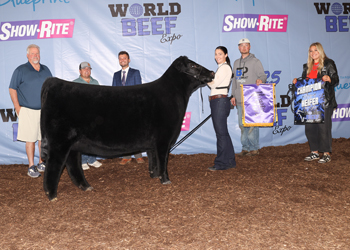 Grand Champion Female