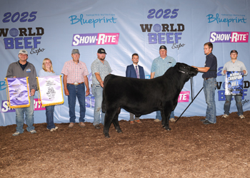 Reserve Grand Champion Bull