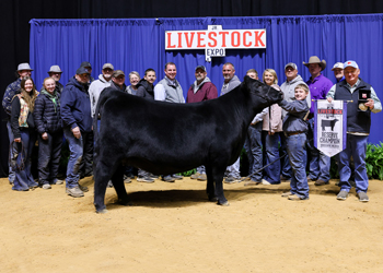 Grand Champion Owned Female