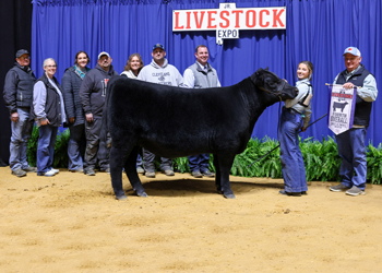 Reserve Grand Champion Bred-and-owned Female