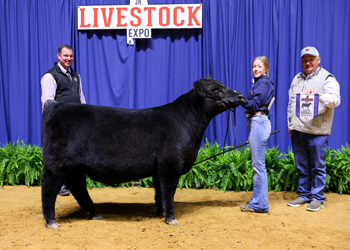 Grand Champion Owned Bull