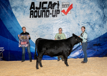 Reserve Grand Champion Bred-and-owned Female
