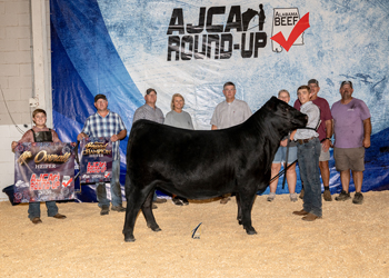 Reserve Grand Champion Owned Female