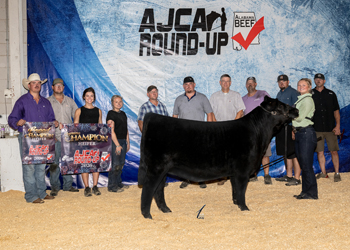 Grand Champion Owned Female