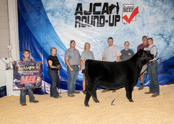 Grand Champion Bred-and-owned Female