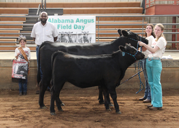 Reserve Grand Champion Cow-calf Pair