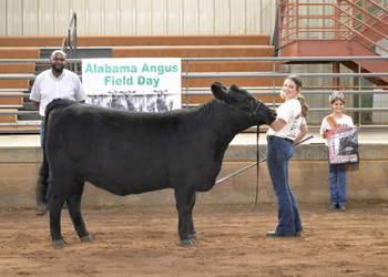Reserve Grand Champion Bred-and-owned Female