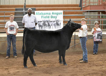 Grand Champion Bred-and-owned Female