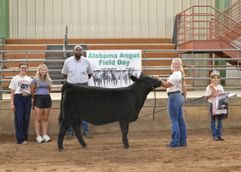Reserve Grand Champion Owned Female