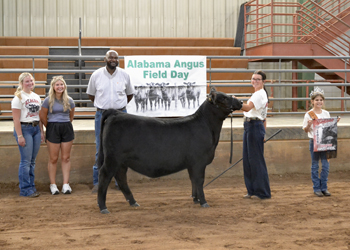 Grand Champion Owned Female