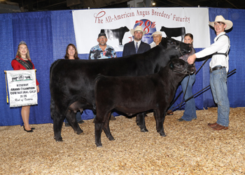 Reserve Grand Champion Cow-calf Pair