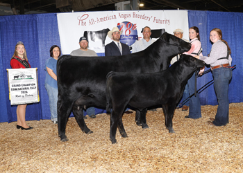 Grand Champion Cow-calf Pair