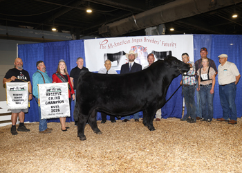 Reserve Grand Champion Bull