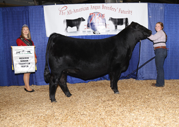 Reserve Senior Champion Female