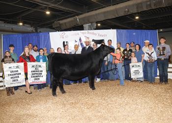Grand Champion Female