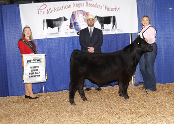 Reserve Junior Bull Calf Champion