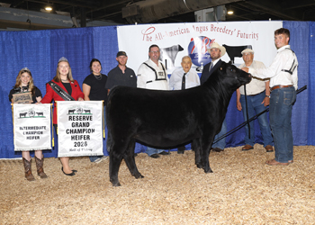 Reserve Grand Champion Female