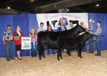 Reserve Grand Champion Cow-calf Pair