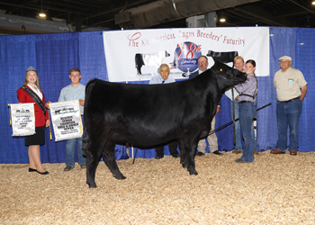Fifth Overall Bred-and-owned Champion Female