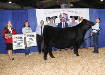 Grand Champion Bred-and-owned Female