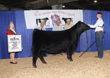 Owned Reserve Senior Champion Female