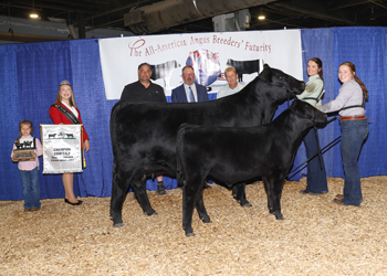 Grand Champion Cow-calf Pair