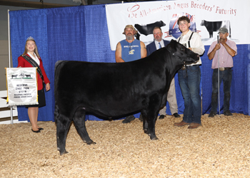 Reserve Grand Champion Steer