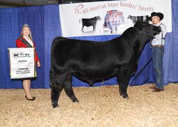 Bred-and-owned Reserve Junior Champion Bull