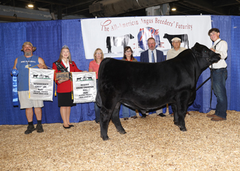 Reserve Grand Champion Bred-and-owned Bull