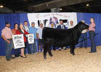 Fourth Overall Bred-and-owned Champion Female