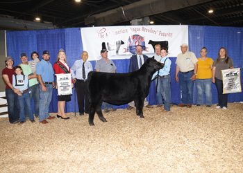 Fourth Overall Owned Champion Female